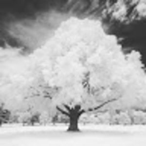 Meet your Posher, Keep life going